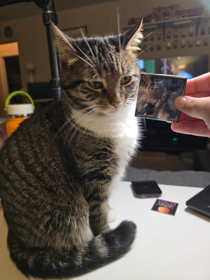 Custom Photo Magnets