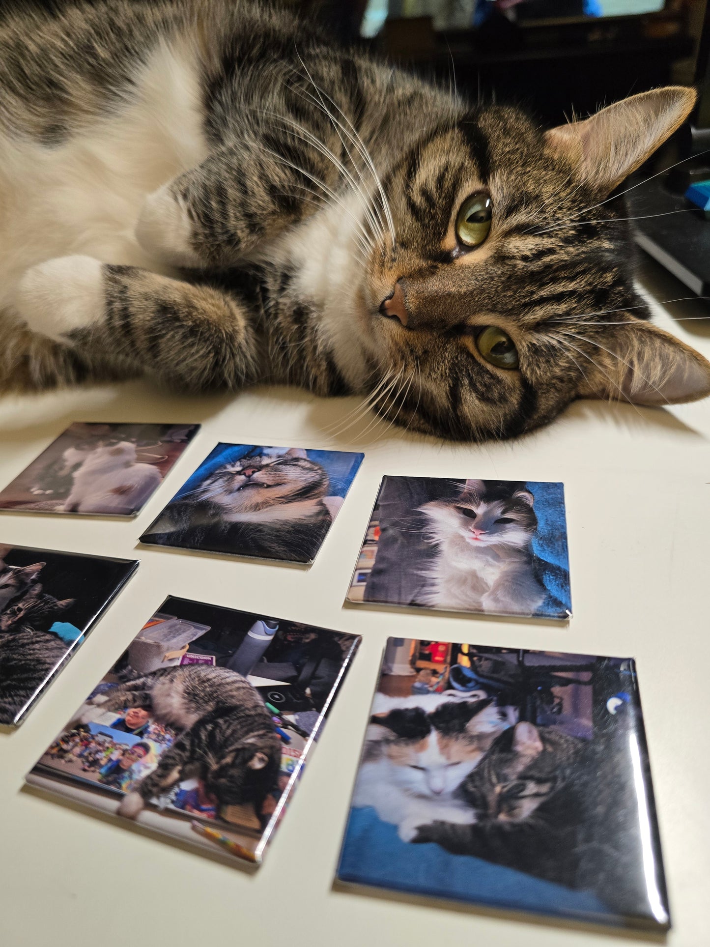 Custom Photo Magnets