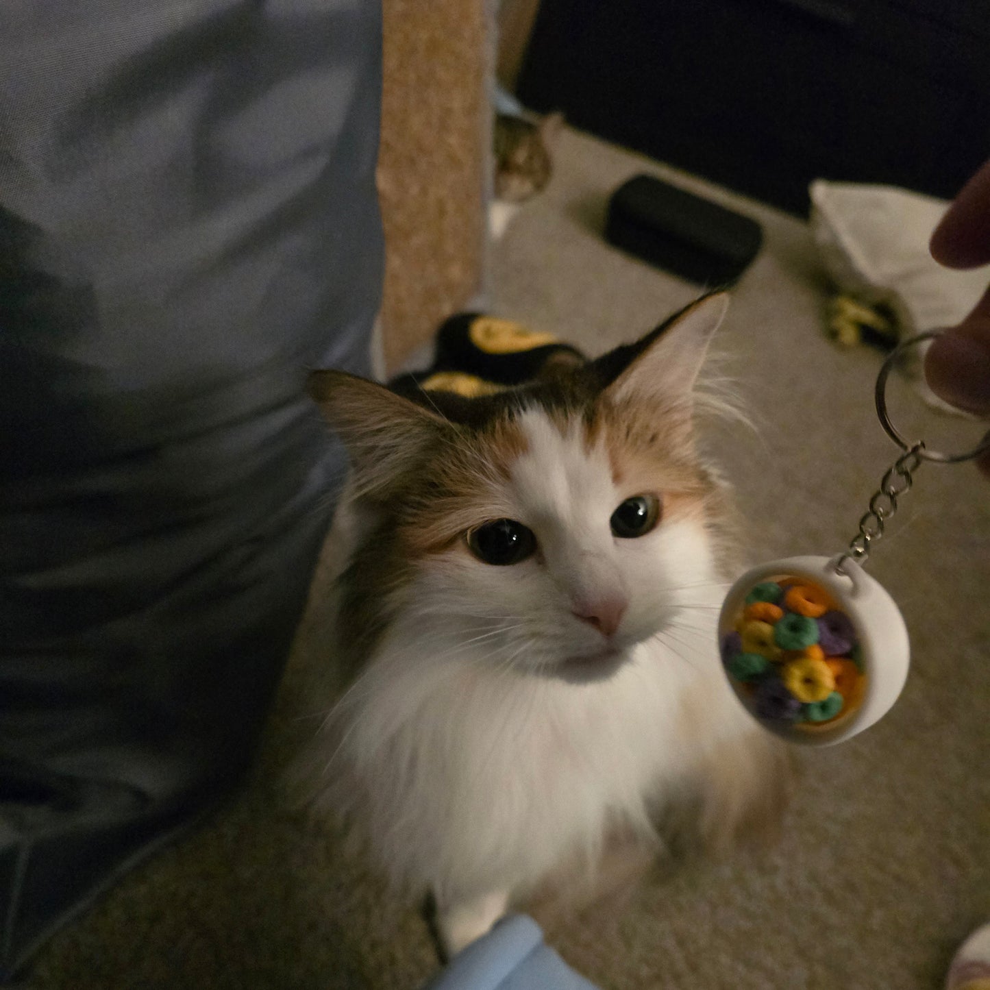 Fruity Cereal Bowl Clicker